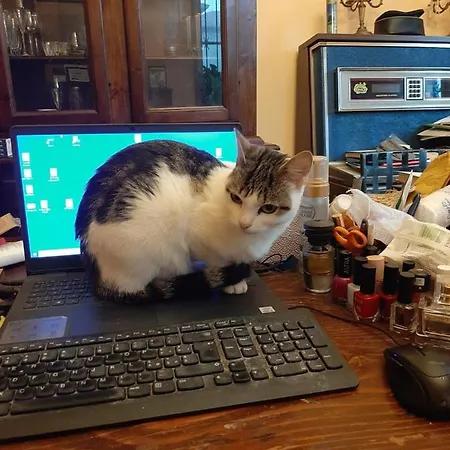 Bed & Breakfast Brumar 3*