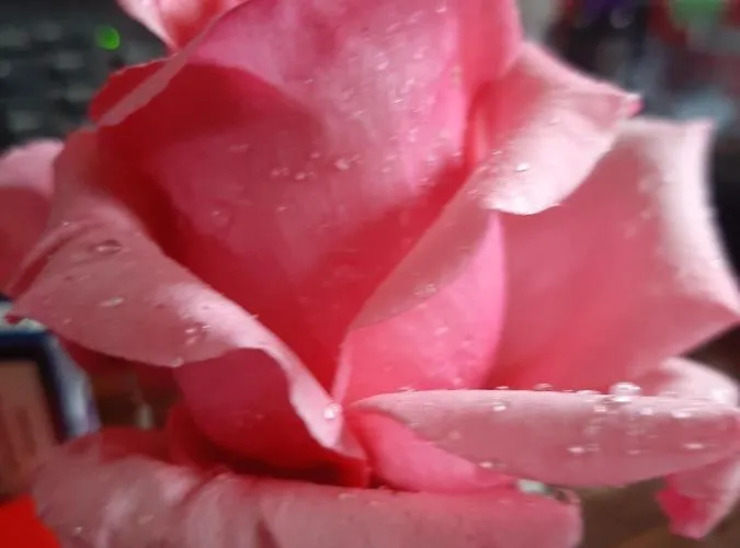 Bed & Breakfast Brumar 3*