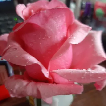 Bed & Breakfast Brumar 3*