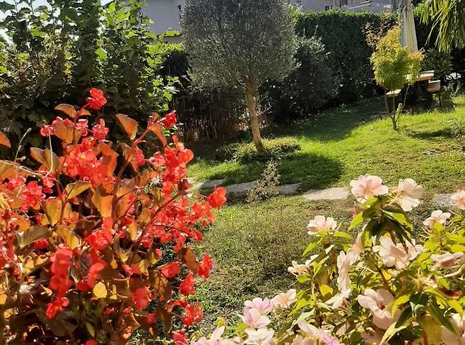 Brumar 3* 브레비아