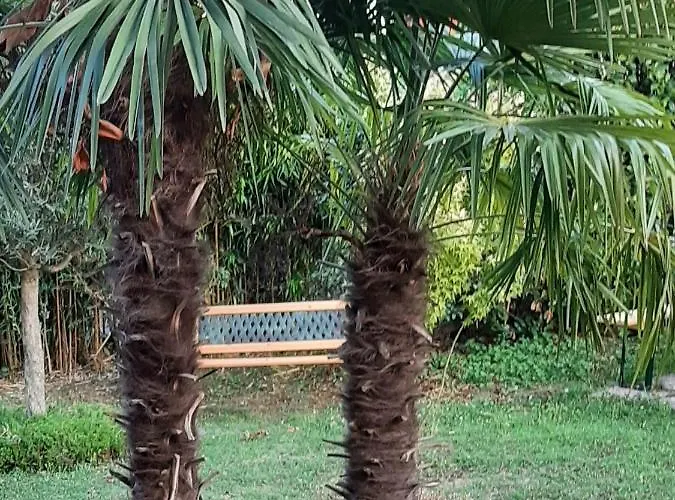 Brumar B&B 브레비아